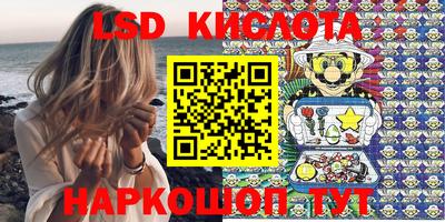 гидра Заводоуковск