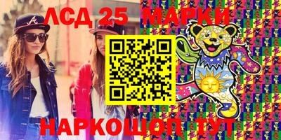 гидра Заводоуковск