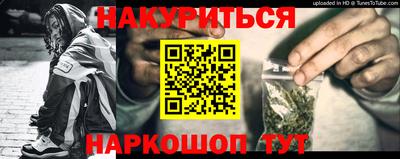 гидра Заводоуковск