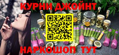 гидра Заводоуковск