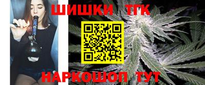 гидра Заводоуковск