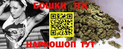 гидра Заводоуковск