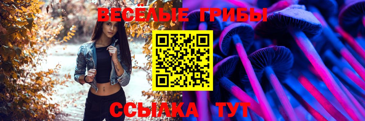 Псилоцибиновые грибы мухоморы  Псилоцибиновые грибы мухоморы  закладка  Лесосибирск  Вход с VPN 